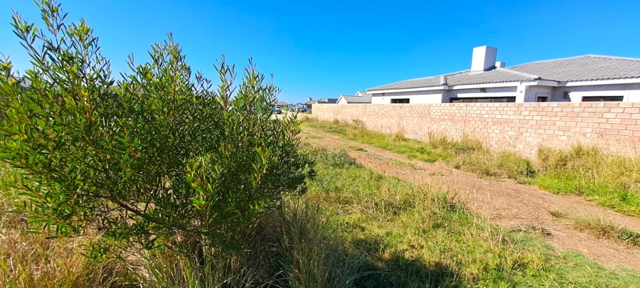0 Bedroom Property for Sale in Fountains Estate Eastern Cape